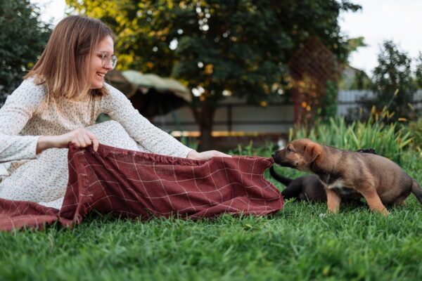 6 Important Tips to Take Better Care of Your Pets